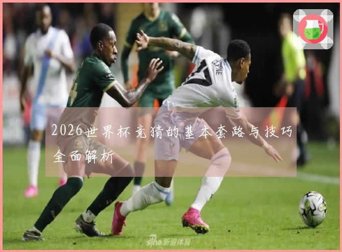 2026世界杯竞猜的基本套路与技巧全面解析