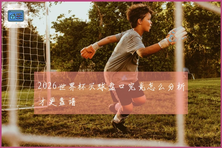 2026世界杯买球盘口究竟怎么分析才更靠谱