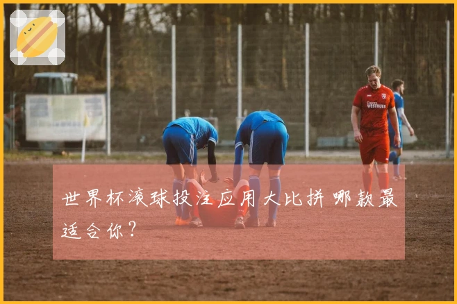世界杯滚球投注应用大比拼 哪款最适合你？