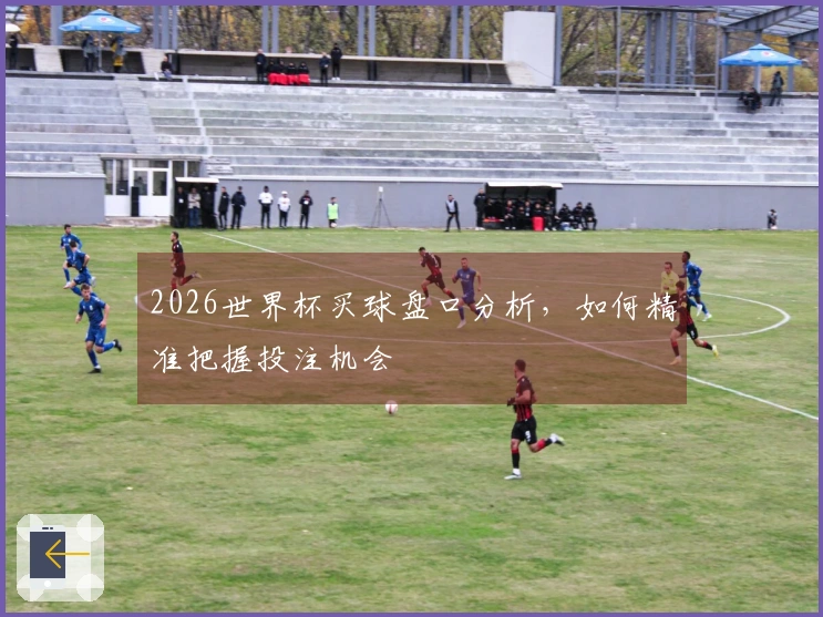 2026世界杯买球盘口分析，如何精准把握投注机会
