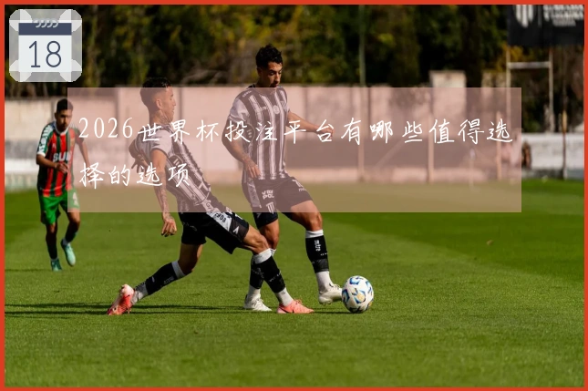 2026世界杯投注平台有哪些值得选择的选项