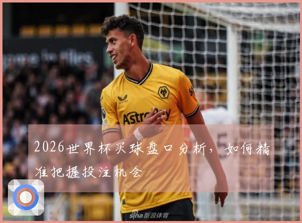 2026世界杯买球盘口分析，如何精准把握投注机会
