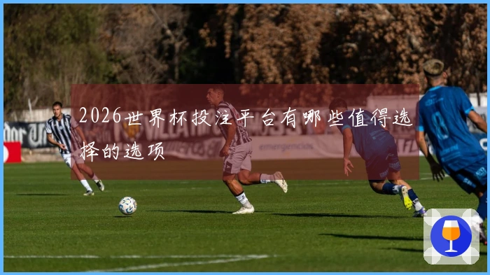2026世界杯投注平台有哪些值得选择的选项