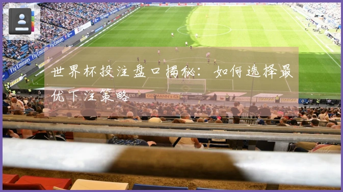 世界杯投注盘口揭秘：如何选择最优下注策略