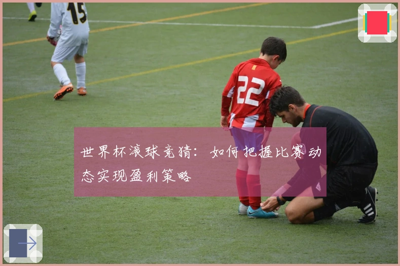 世界杯滚球竞猜：如何把握比赛动态实现盈利策略